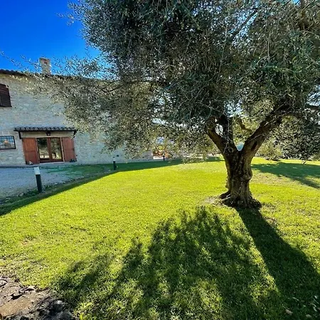Todi By The Poolexc Poolwalk To Todi 5 Kmsrestaurant 05 Kms Sleeps Petroro