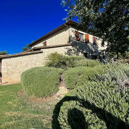 Todi By The Poolexc Poolwalk To Todi 5 Kmsrestaurant 05 Kms Sleeps Hotel
